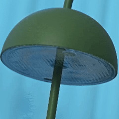 detalle1.gif__PID:efbe07f8-4c37-47af-acc3-dab884fc9129