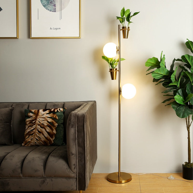 gnat indoor plant Fungus Gnat Traps for Indoor Plants