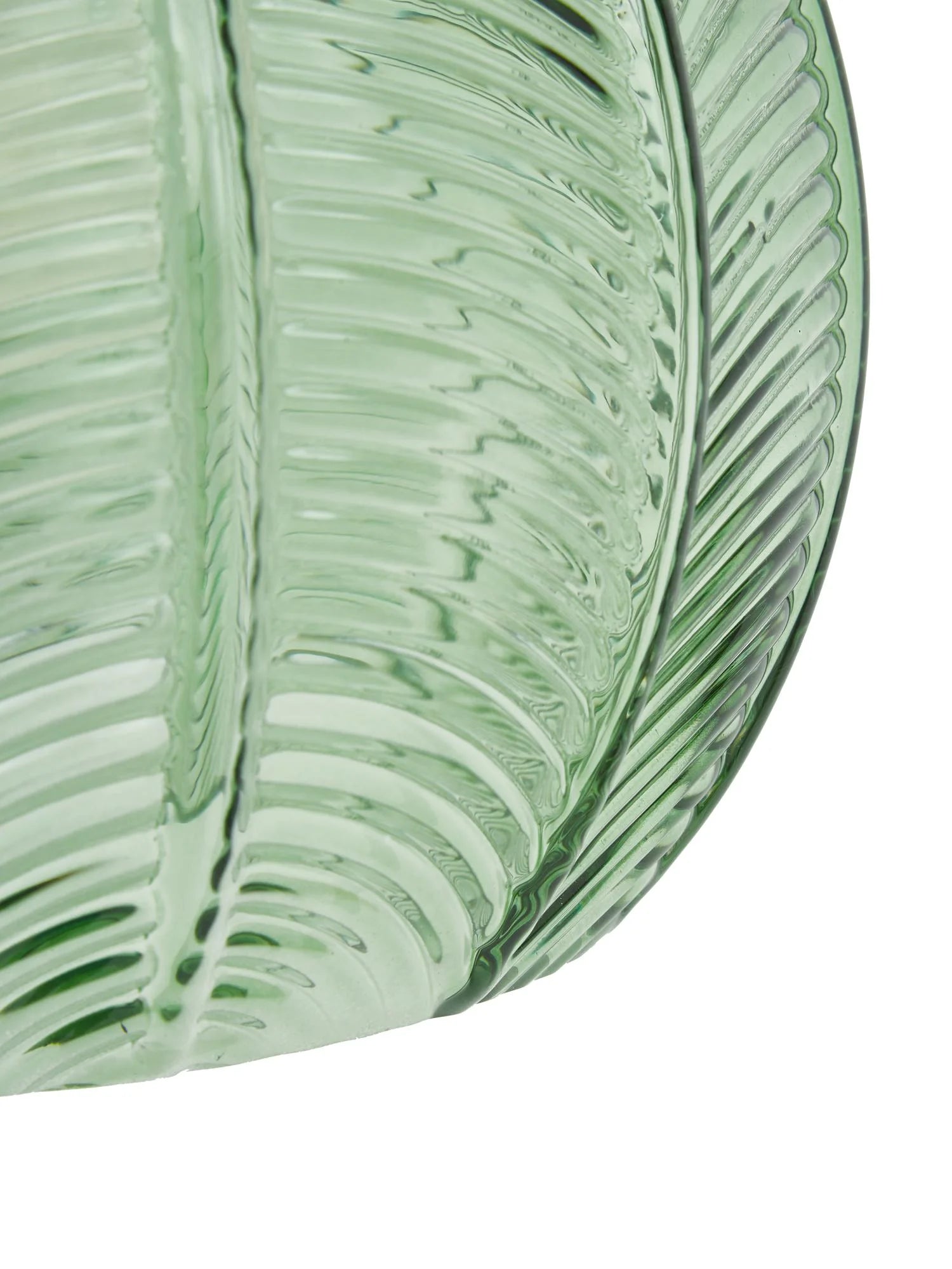 Detail-Green-Palm Leaves.webp__PID:cda2bb24-87f5-4b9a-bfb2-acd2ac0e967c