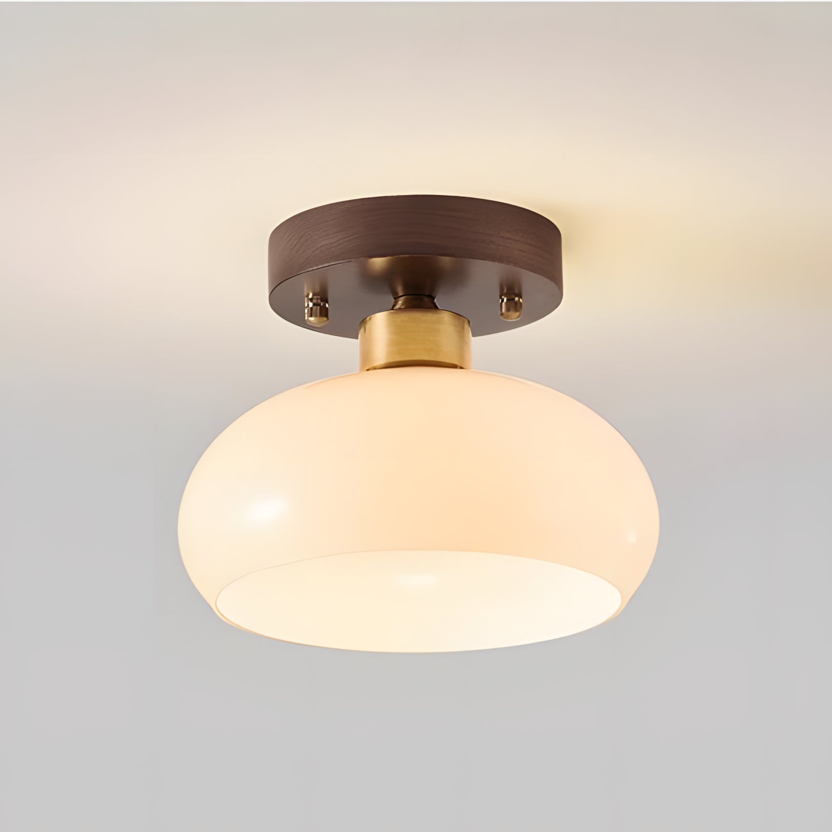 Plafonnier minimaliste en verre à dôme bas Otis 11.webp__PID:eccfbf2a-934a-40d1-ae31-19c5111dd148
