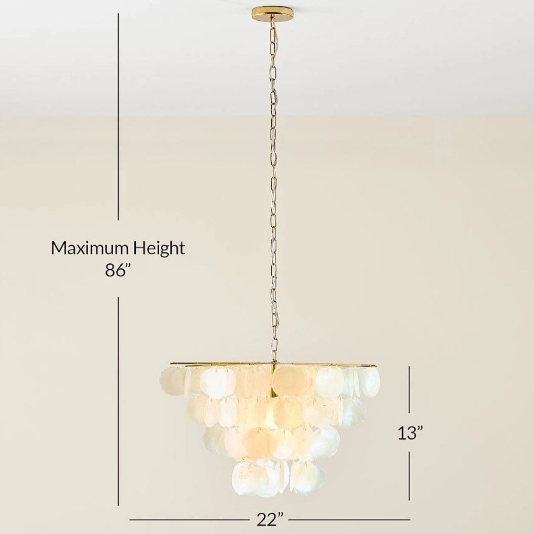 Lampadario in metallo di lusso con conchiglia naturale Leslie size.webp__PID:2bcaa7ce-8375-4113-8923-b7021905fb33